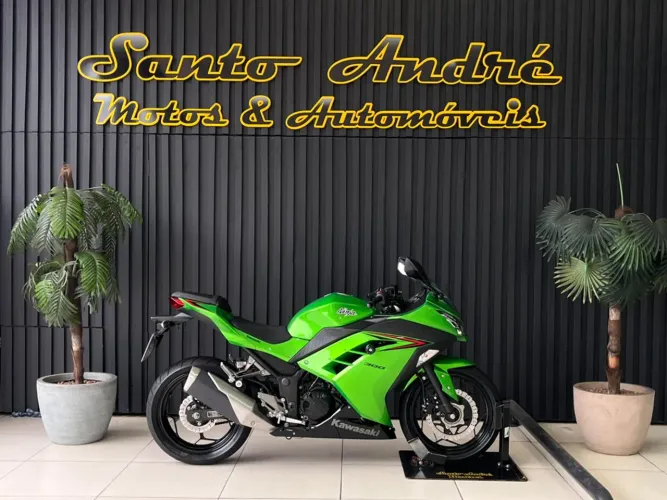 Kawasaki Ninja 300 2024