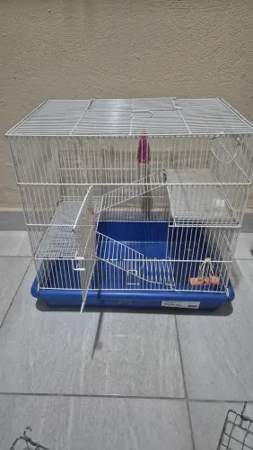 Gaiola ratinho Twister