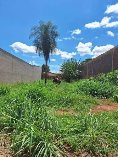 Terreno em Vila Nova Campo Grande - Campo Grande