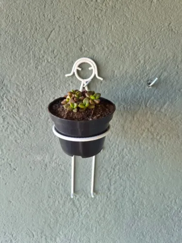 Suporte para plantas Menina Ou Menino