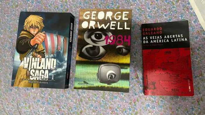 Livros e mangá avulsos (Ler descrição)