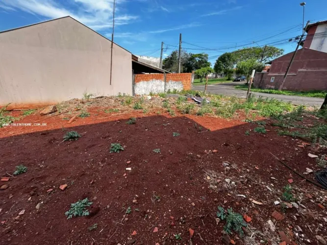 Terreno para Venda em Londrina, Conjunto Habitacional Alexandre Urbanas