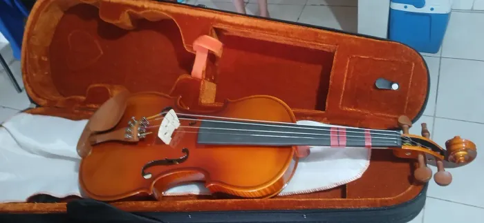 Violino