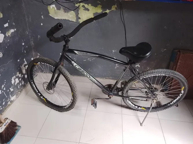 Bicicleta