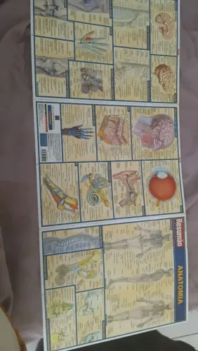 Resumo de anatomia