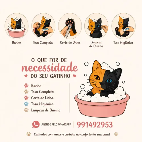 Banho e tosa para GATOS!