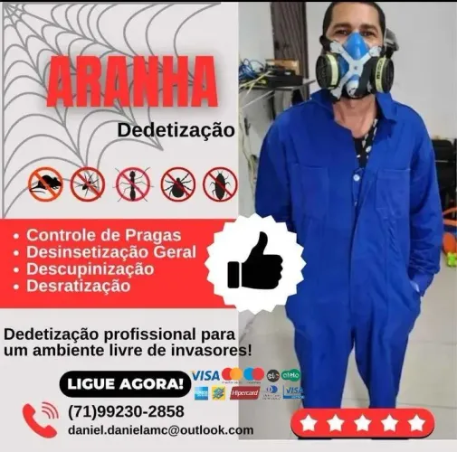 Aranha dedetização