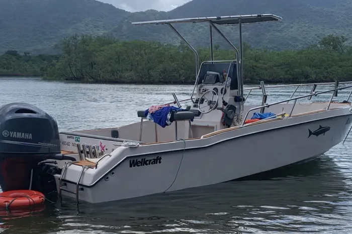 Lancha Fishing Wellcraft 21 pés 