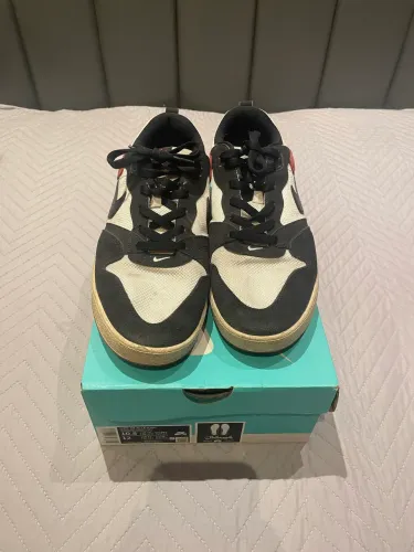 NIKE SB ALLEYOOP