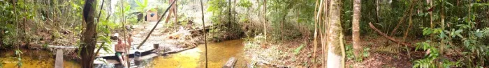 Terreno no km 18 da zf9 km 105 Rio Preto da Eva 