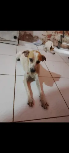  Estou doando!!!