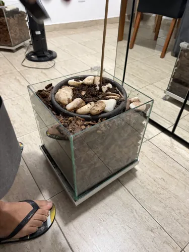 Vaso cachepô