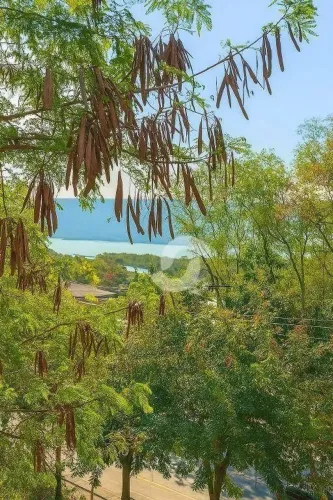 Terreno à venda, 450 m² por R$ 320.000,00 - Piratininga - Niterói/RJ