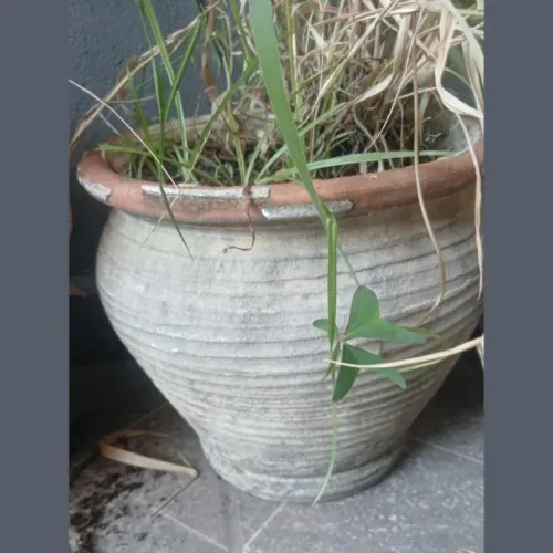 Vaso de Barro