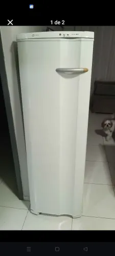 Freezer Vertical 