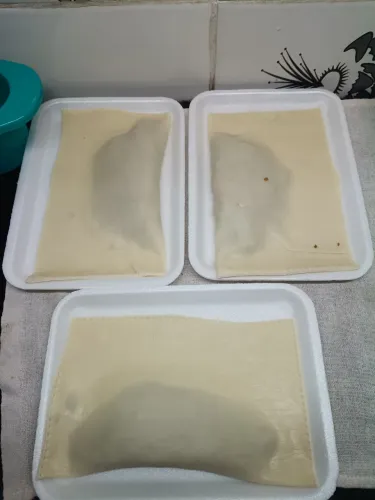 Pastel de feira 