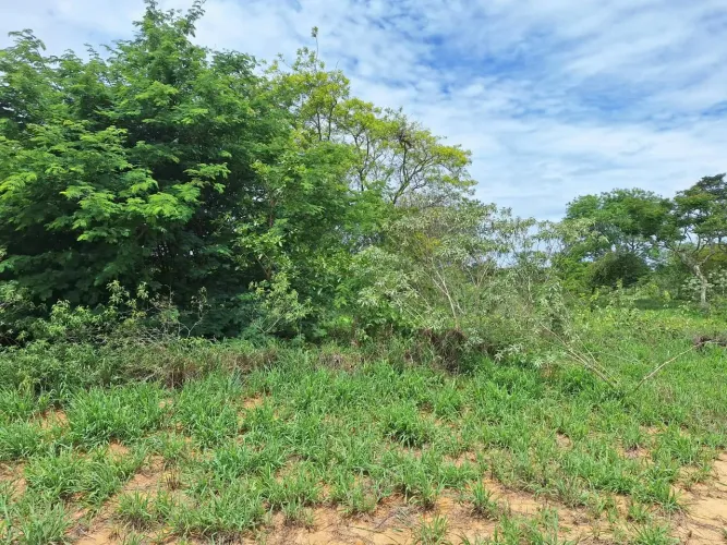 Chacreamento Parque das Hortas
