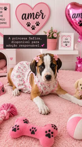 Adoção