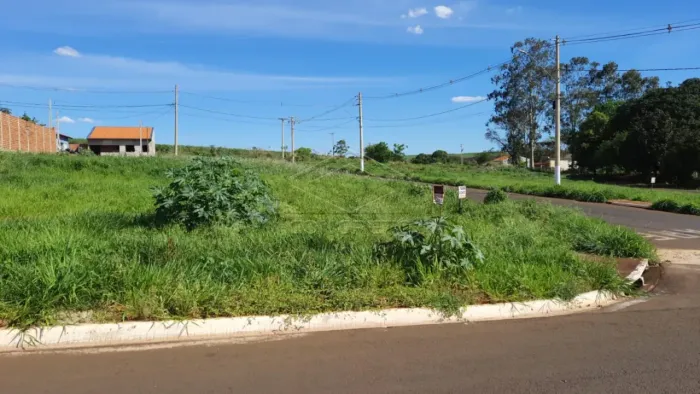 Terreno Área em Itapuí