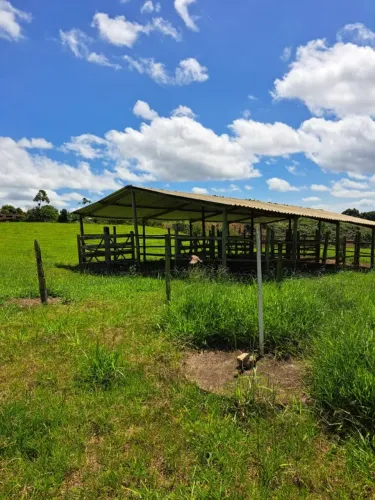 Roça com 6 hectares na Cavada 1 em Barra Nova/ Barra do Choça -Ba 