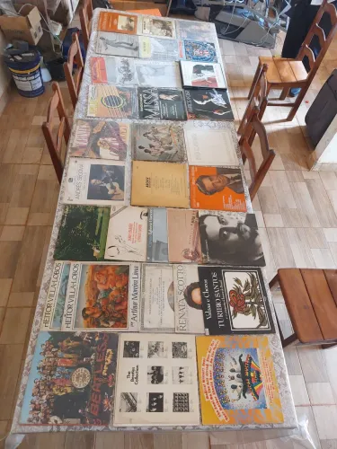 Discos Originais (Colecionáveis)- Cantores Para Todos os Gostos Musicais