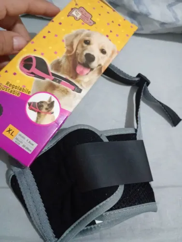 Focinheira de cachorro