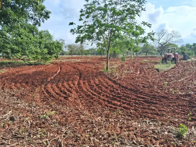 COD559 - Chácara a venda - 14hectares em Terenos/ MS.