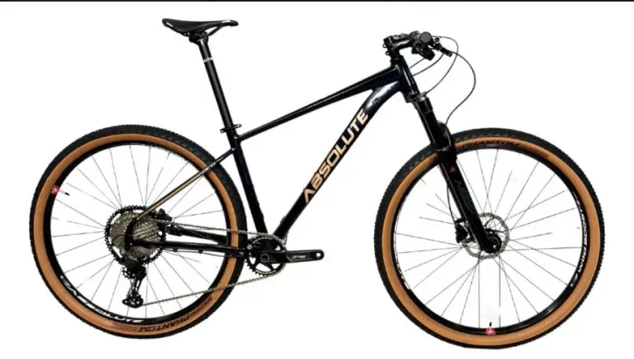 Bike Absolute Willd II 2 Bosst
