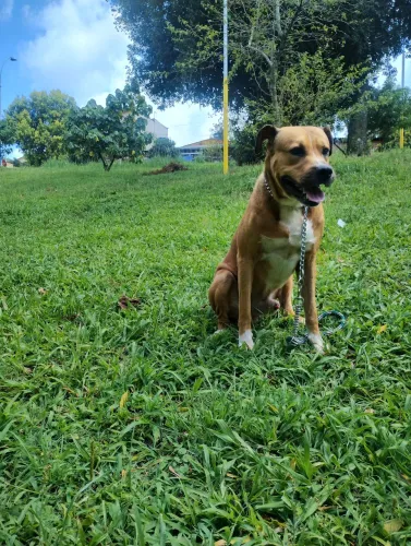 Doação