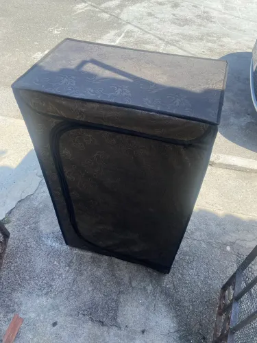 Sapateira toda filé 