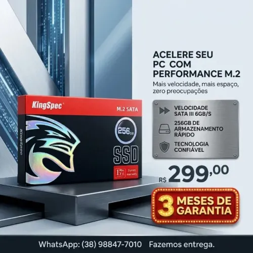 SSD M.2 SATA 256GB
