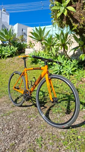 Specialized Langster Durango
