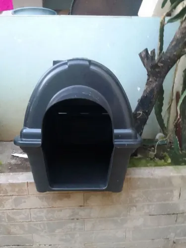 Casa de Cachorro N°7