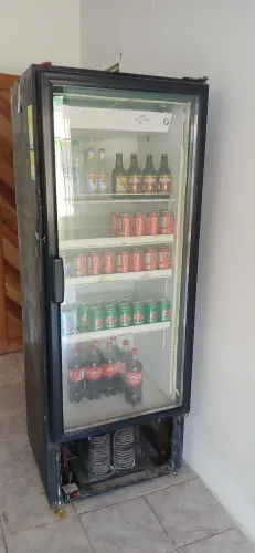 Freezer vertical