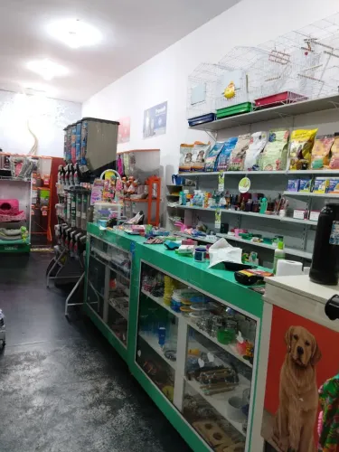 Loja Petshop 