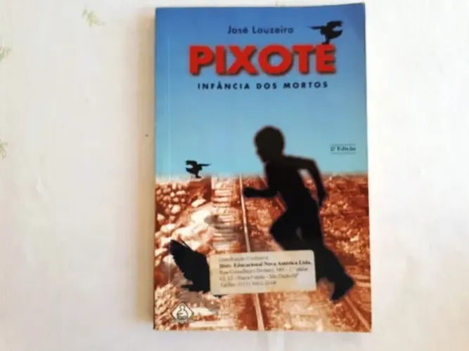 ivro Pixote - Infância Dos Mortos - José Louzeiro (Usado)