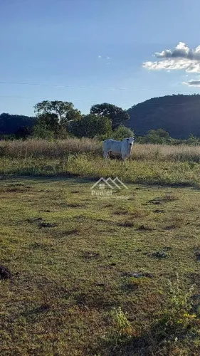 Fazenda com 3 dormitórios à venda, 2216720 m² por R$ 6.305.000,00 - Zona Rural - Minaçu/GO