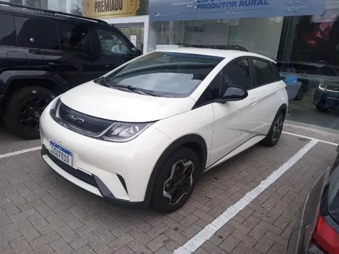 BYD Dolphin EV (Elétrico) 2024