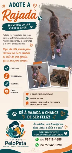 Adote