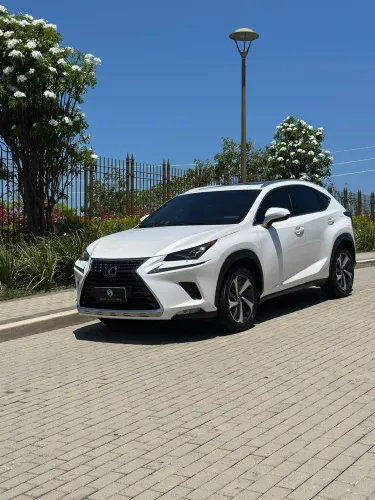 Lexus NX-300 H Luxury 2.5 16V Aut. 2020