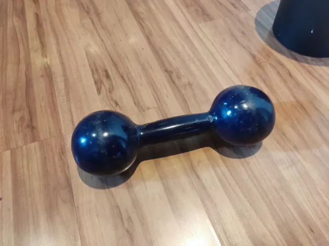 Halter Bola Emborrachado 9kg - Excelente estado
