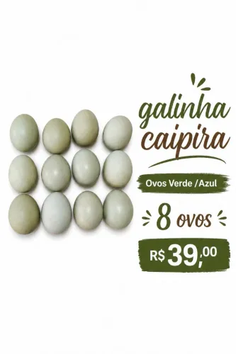 Ovos Azul/verde Galinha caipira