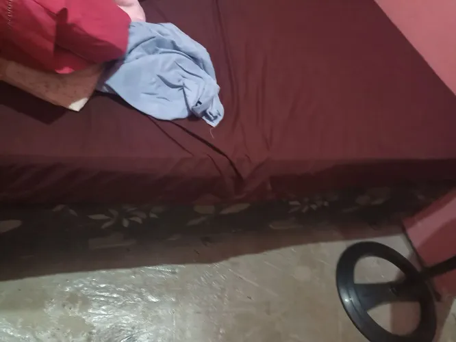 Vendo tudo
