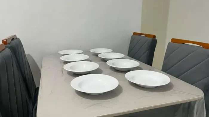 Pratos de porcelana novos