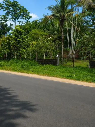 TERRENO 12.400m2 - TARUMÃ - EXCELENTE P/ GALPÃO