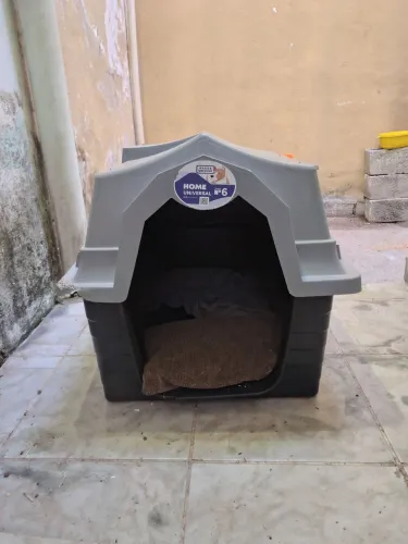 Casinha de cachorro n6