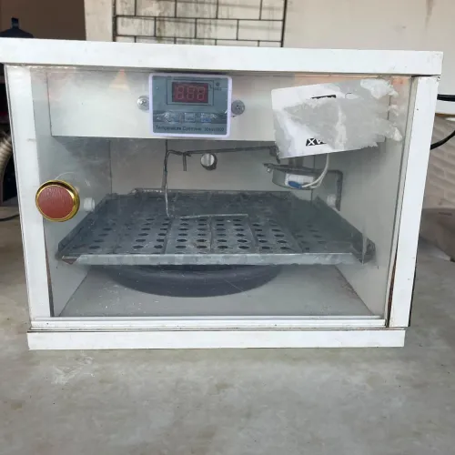 Chocadeira de ovos automática 20 ovos