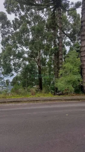 Terreno Petrópolis Caxias do Sul
