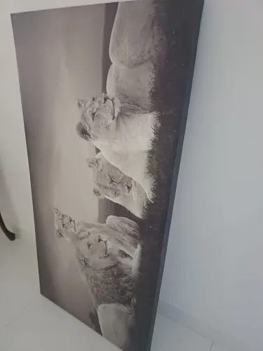 Quadro