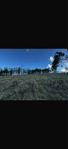Terreno 7,8 hectares